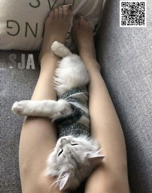 姐姐4在线高清完整播放_国语版高清