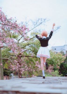泪之女王免费观看全集完整版_在线播放-手机免费播放动漫
